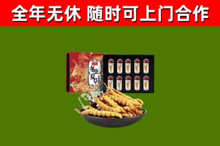 上海回收冬虫夏草价格